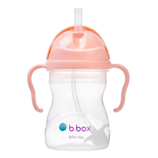 Sippy Cup | Tutti Frutti