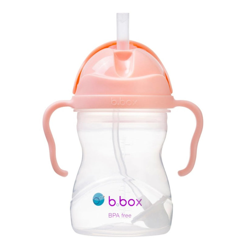 Sippy Cup | Tutti Frutti