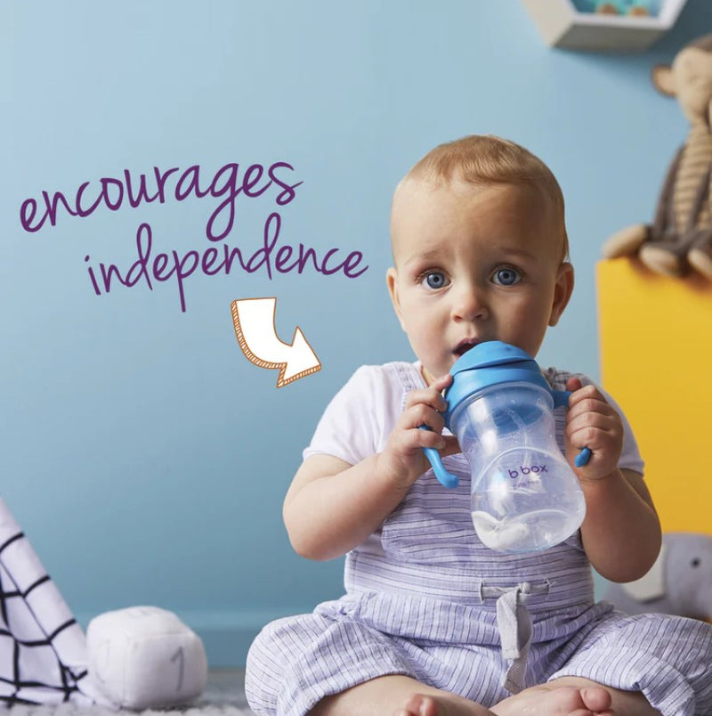 Sippy Cup | Blueberry