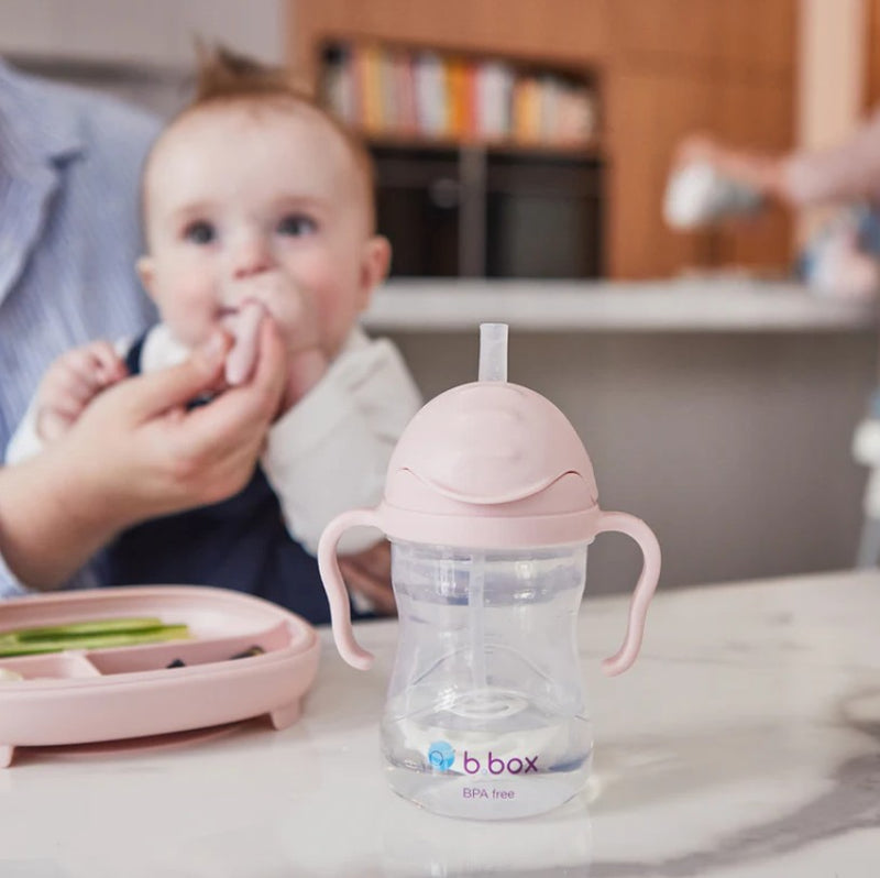 Sippy Cup | Blush