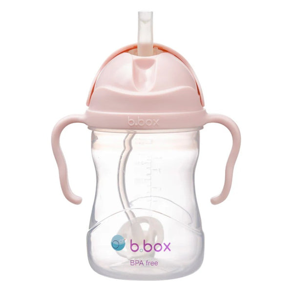 Sippy Cup | Blush