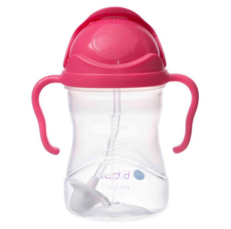 Sippy Cup | Raspberry